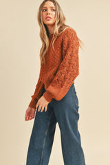 Brick Brown Mixed Pointelle Puff Sleeve Sweater